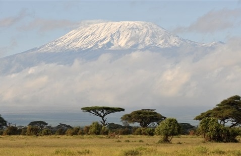 kilimandjaro-parc-national