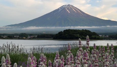 montfuji