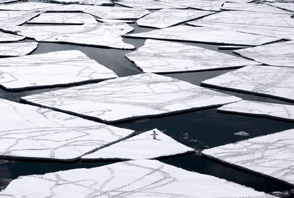 Au total, 1,12 million de kilomètres carrés seront interdits à la pêche. (photo AFP)