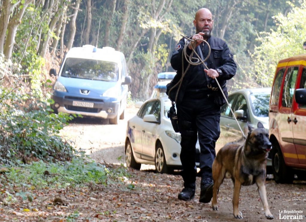 L’adjudant Marc Chicaud, maître-chien du Psig de Briey, a pris part aux recherches, qui ont débuté dans le bois de Piedmont. (photo RL / René Bych)