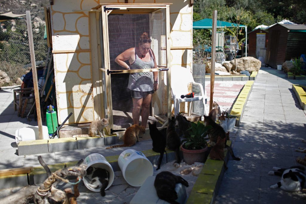 Une bénévole au Tala Monastery Cat Park. (photo AFP)