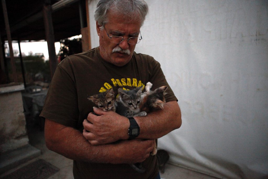 Dinos Agiomamitis, à la tête d'une association de protection des chats. (photo AFP)