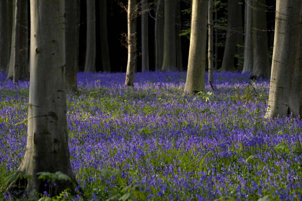 Le paysage est magique. (photo AFP)