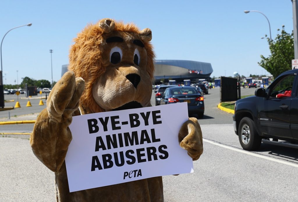 Ringling Bros Barnum and Bailey Circus Holds Final Show