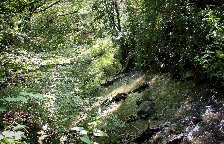 L'état de nos cours d'eau est plus que préoccupant.