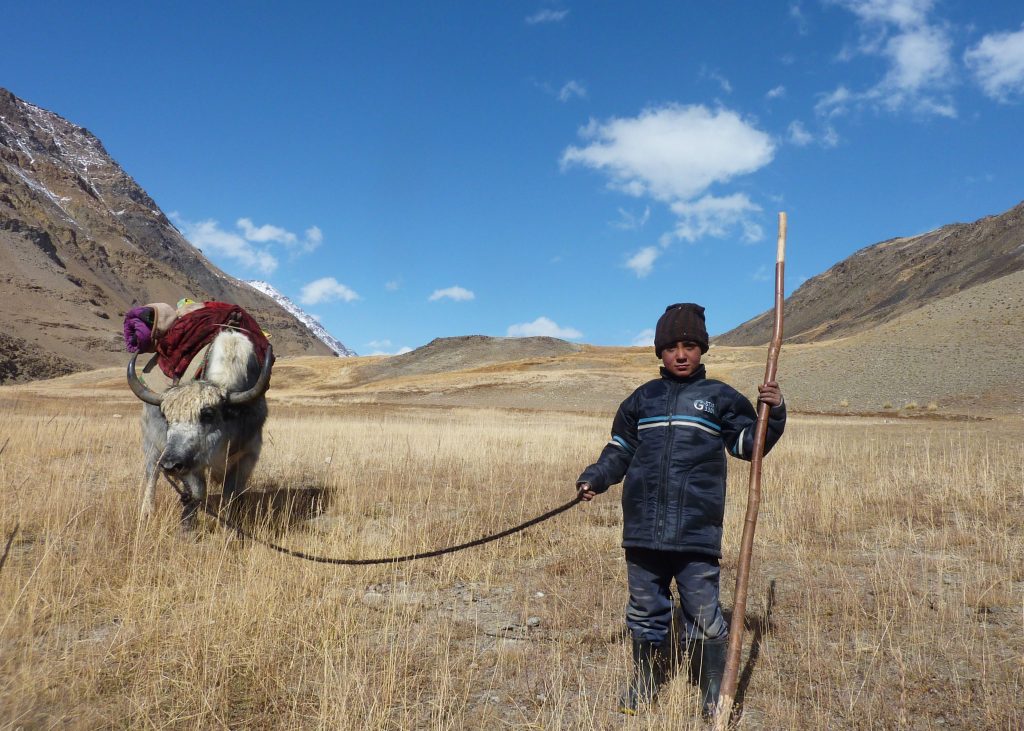 Un garçon wakhi gardent un yak dans cette région où les sommets enneigés flirtent avec les 5 000 mètres et où la température se maintien sous zéro une grande partie de l'année. 