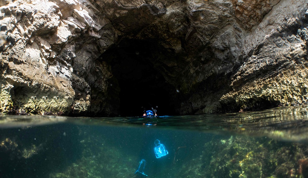 CYPRUS-SEALS-ENVIRONMENT-TOURISM-CONSTRUCTION