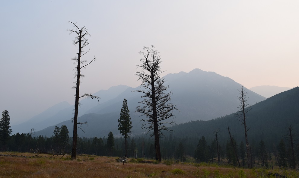 Randonnée dans le Kootenay...