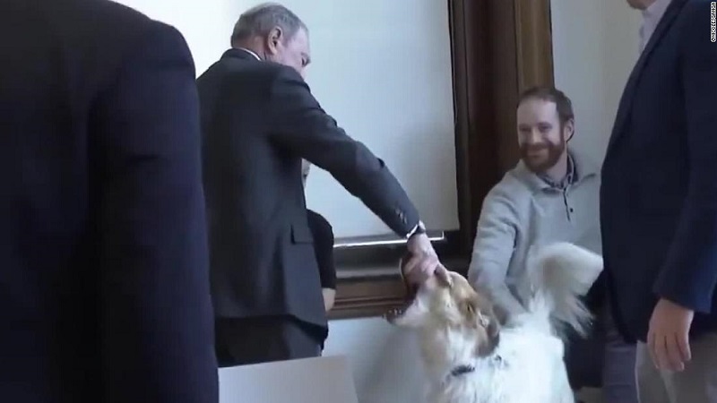 La vidéo de Bloomberg le montrant secouer la gueule d'un chien en guise de bonjour a fait le tour d'internet. (Capture d'écran vidéo)