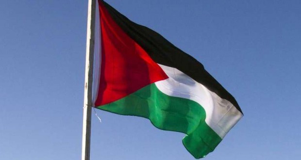 Le drapeau palestinien hissé pour la première fois à l'ONU - Jeune