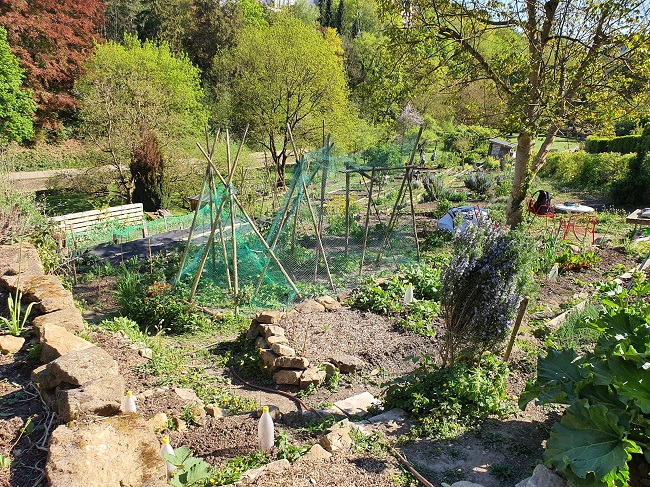 Les jardins communautaires sont aussi des terres d'expérimentations (Photo : Daniel Bonnans).