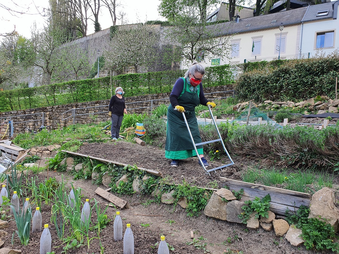 Distanciation sociale dans les jardins communautaires ? Oui mais l'esprit est préservé ! (Photo : Transition Pétrusse, Daniel Bonnans).