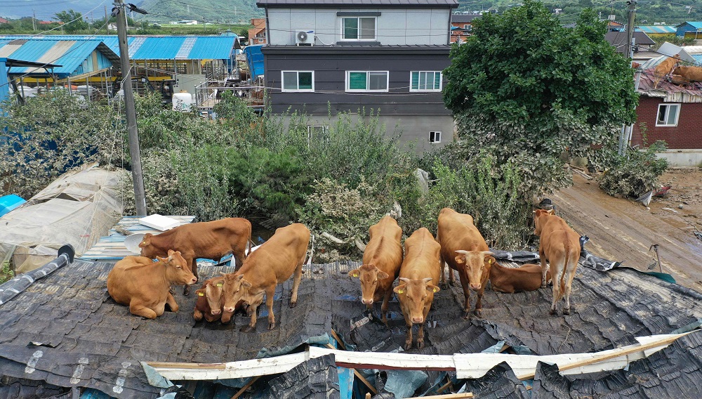 SKOREA-WEATHER-FLOOD