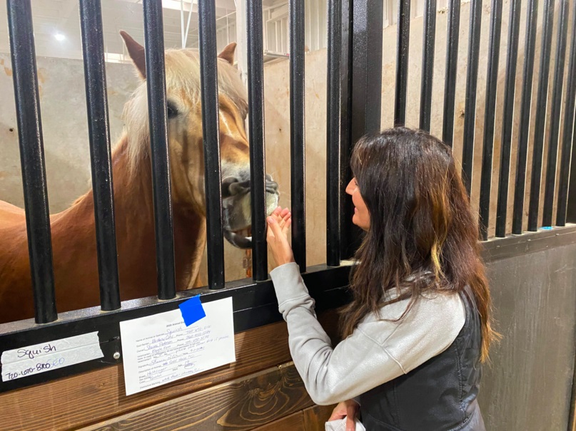 Ce cente de Canby, dans l'Oregon, accueille les animaux en perdition (Photo : AFP).